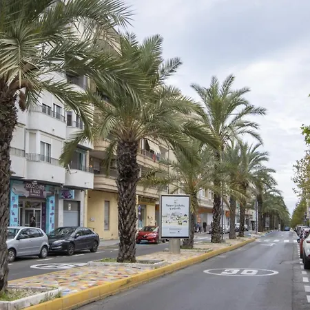 Alegria Id163 * Торевьиа